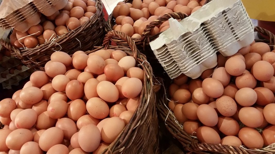 Jaja iz Srbije i dalje imaju zabranu izvoza u zemlje EU