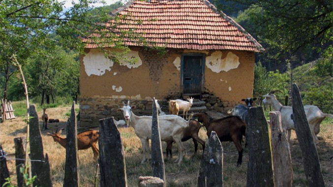 U Srbiji registrovano 270.000 poljoprivrednih gazdinstava