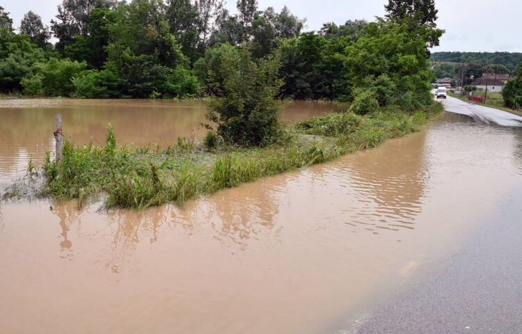 Blagojević: Prijavljene štete na 1.600 stambenih objekata oštećenih u poplavama