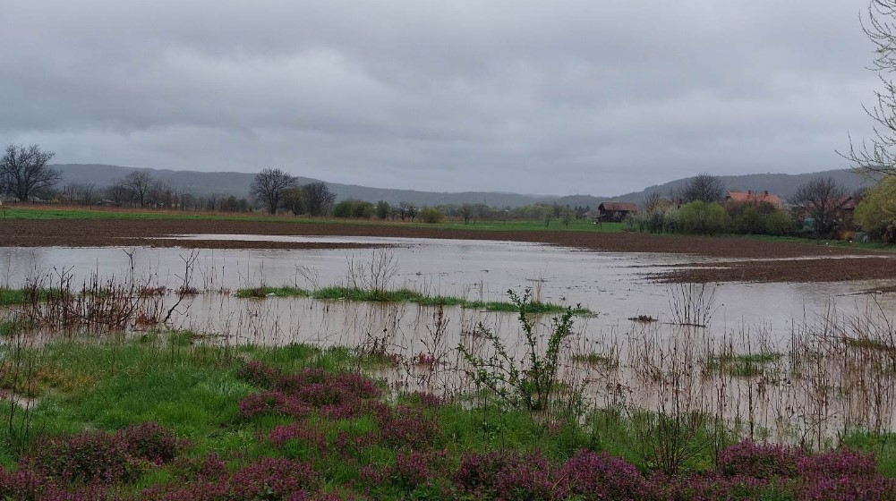 Vanredna situacija u 35 opština i gradova u Srbiji zbog kiše i poplava