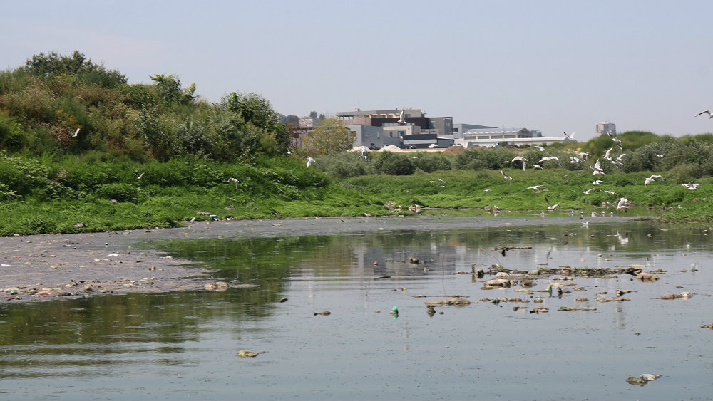 Beograd uskoro dobija prvo biološko postrojenje za preradu otpadnih voda