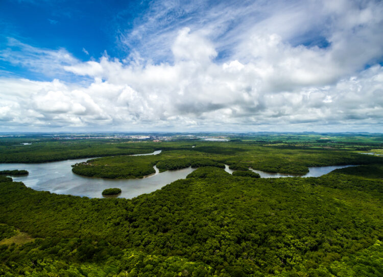 Za vreme Bolsonara, emisije ugljendioksida iz Amazonije dramatično se uvećale