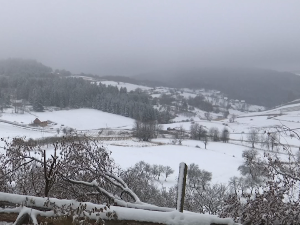 Koje probleme je doneo prvi ovogodišnji sneg – na Rudno