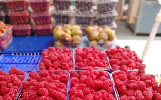 Ministarstvo poljoprivrede: Počinje kontrola malinjaka širom Srbije
