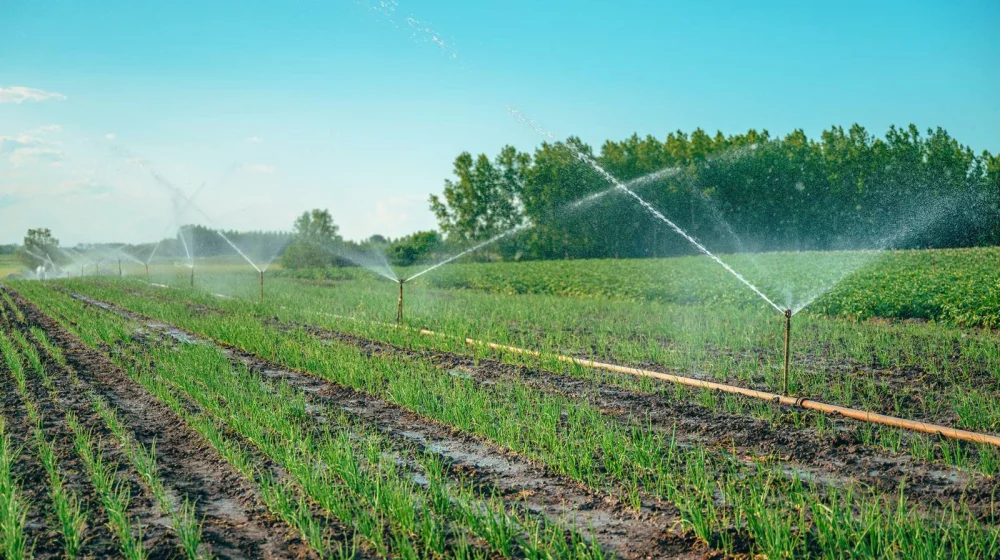 Nova pravila EU za biljke koje bolje podnose klimatske promene i zahtevaju manje pesticida